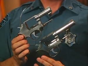 Image Police Guns