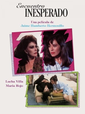 Poster Encuentro Inesperado (1993)