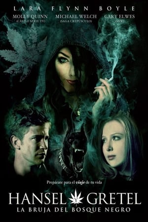 Poster Hansel y Gretel: La bruja del Bosque Negro 2013