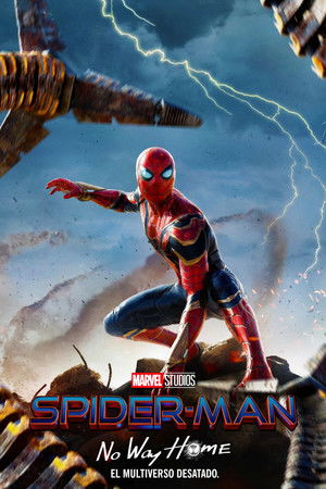 poster Spider-Man: No Way Home