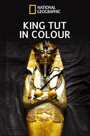 King Tut In Color