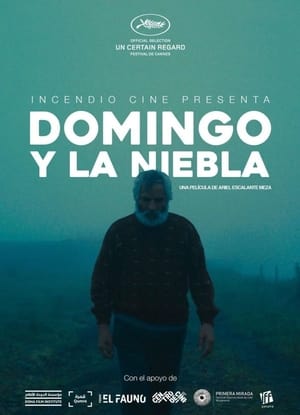 Domingo y la niebla 2022