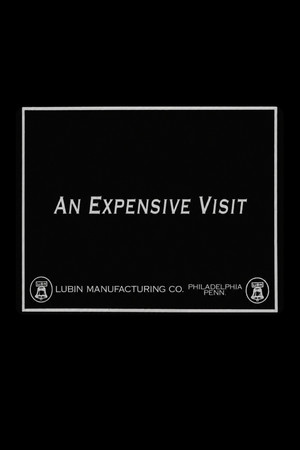 An Expensive Visit (1915)