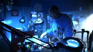 CSI: Crime Scene Investigation: 6×14