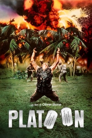 Poster Platoon 1986