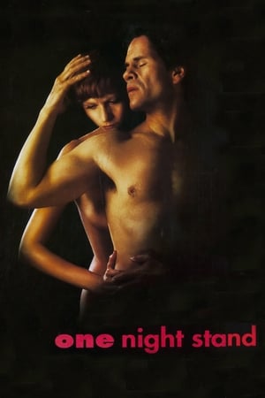 Poster One Night Stand 1995