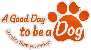 A Good Day to be a Dog