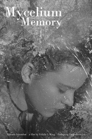 Mycelium Memory 4