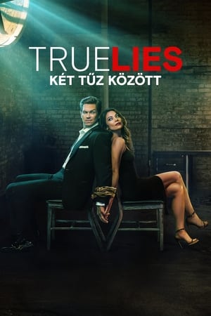 Image True Lies - Két tűz között