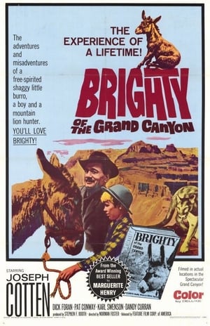 Poster Brighty of the Grand Canyon 1966