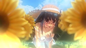 Takarasagashi no Natsuyasumi Todos os Episodios Online