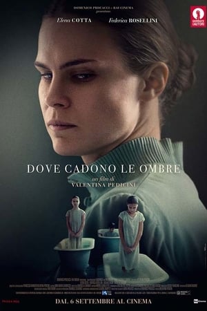 Poster Dove cadono le ombre 2017