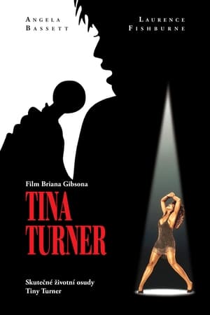 Poster Tina Turner 1993