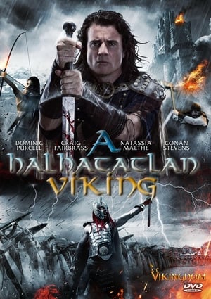Poster A halhatatlan viking 2013