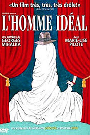 Poster L'homme idéal 1996