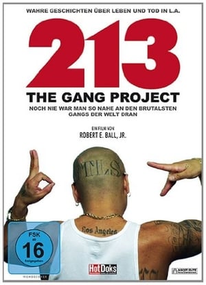 213 - The Gang Project poster