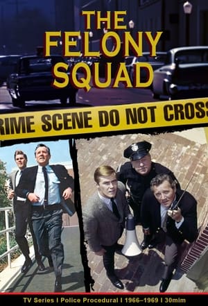 Poster Felony Squad Season 2 Episode 8 1967