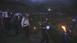 Journeys in Japan: 12×11