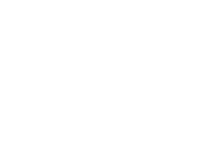 Vice-versa — logo