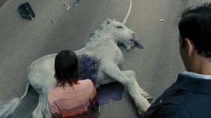 Images posters