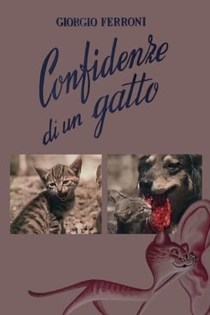 Image Confidenze di un gatto