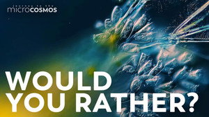 The Shared Doom of Microscopic Hitchhikers still