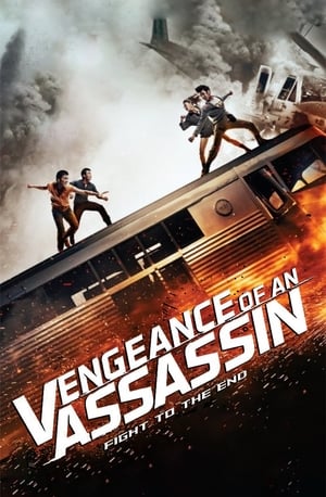 Vengeance of an Assassin 2014