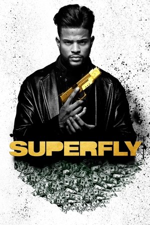 Poster Superfly 2018