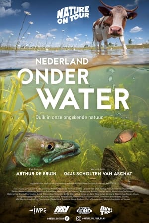 Poster Nederland onder water (2022)