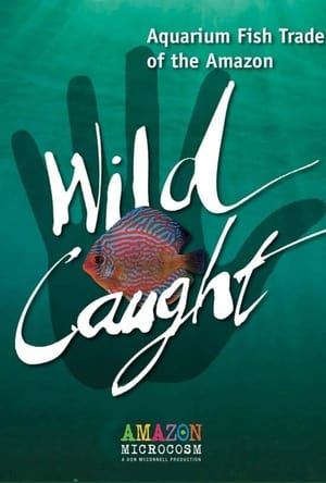 Wild Caught: Aquarium Fish Trade of the Amazon