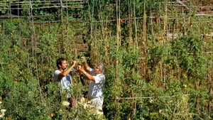 Le potager de mon grand-père