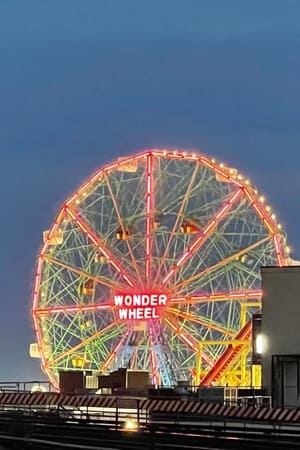 Image Wonder Wheel