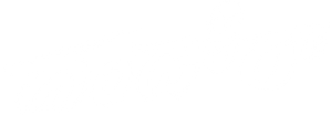 Dhandoraa — Logos 2