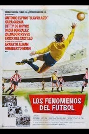 Poster Los fenómenos del fútbol 1964