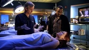 CSI: NY: Stagione 7 x Episodio 13