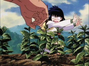 InuYasha: 1×31