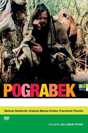 Poster Pograbek 1993