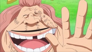 One Piece: Saison 19 Episode 861