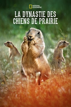 Affiche de Prairie Dog Manor