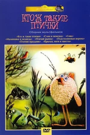 Poster Кто ж такие птички... 1979