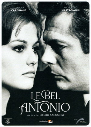 Il bell'Antonio 25