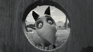 Frankenweenie 32