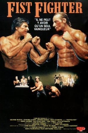 Poster Fist Fighter 1989