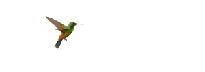 O Colibri — Logos 1