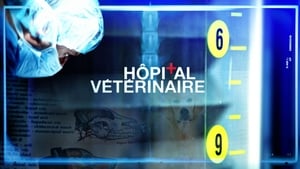 Hôpital vétérinaire film complet