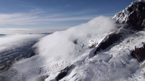 The Wild Andes