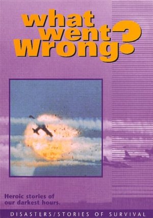 What Went Wrong