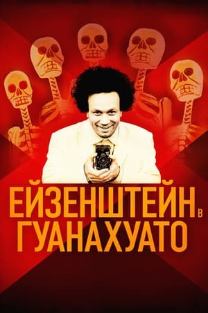 Ейзенштейн в Гуанахуато (2015)