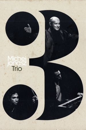 Poster Michel Jonasz : Trio (2009)
