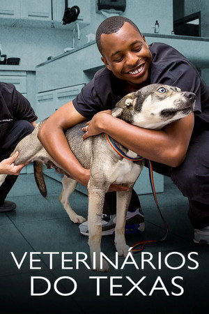 The Vet Life - Season 3